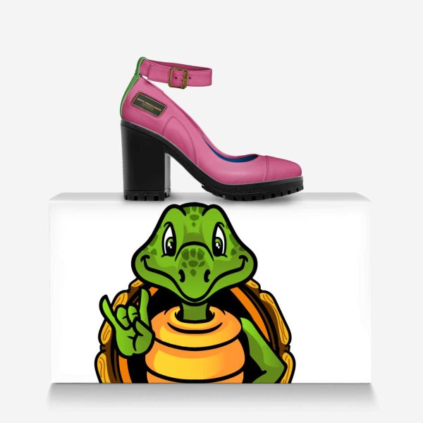 Basia Testudo