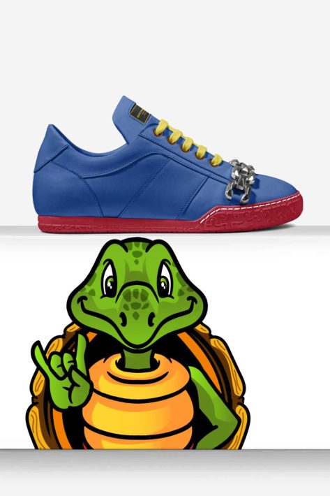Praeter Testudo