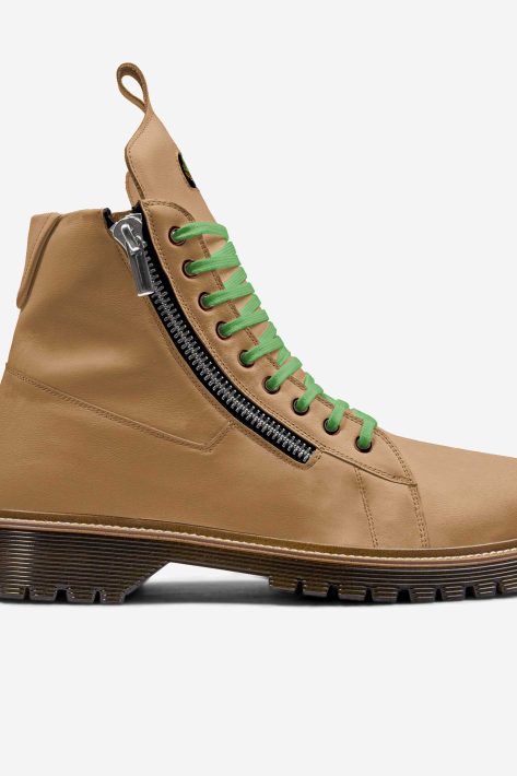 Rex Callidus Testudo®