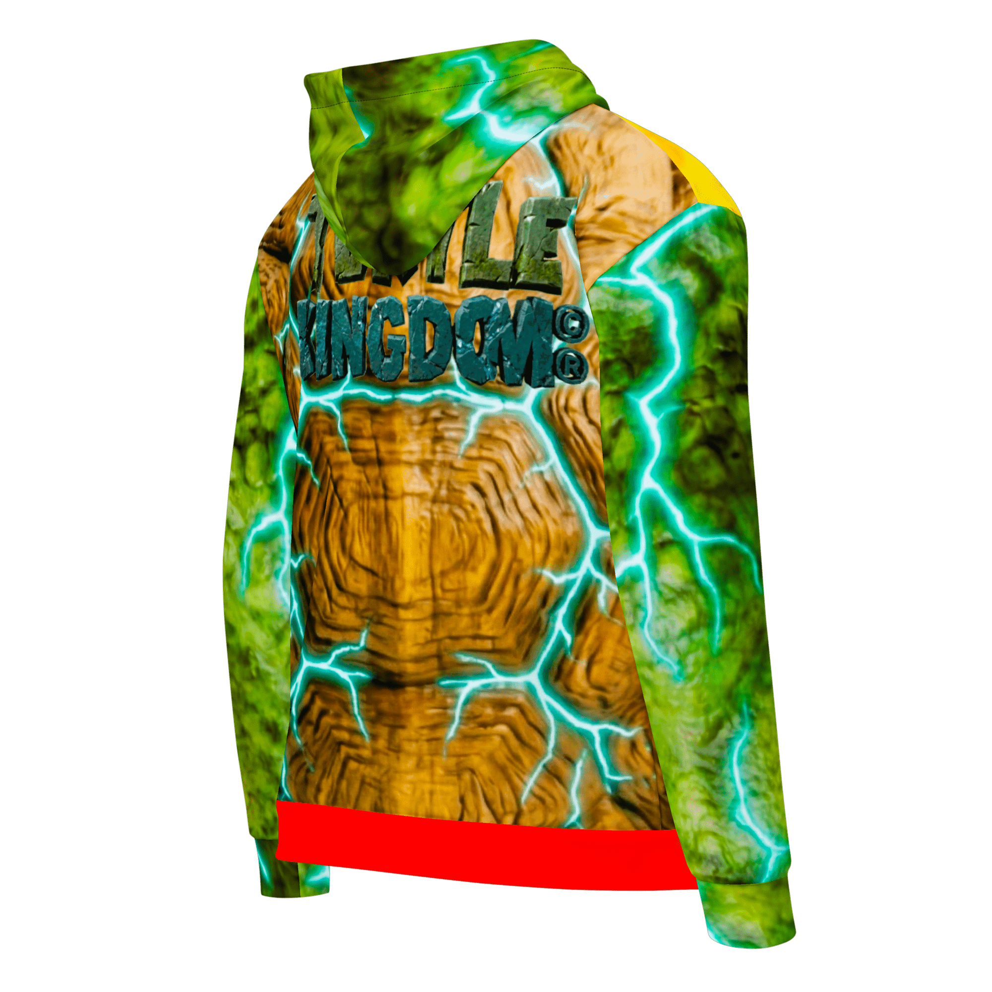 Turtle Kingdom® King Savvy Turtle® Collectors Edition